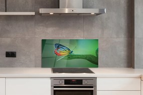 Panel nad Blat Kuchenny Motyl Odpoczywający na Liściu