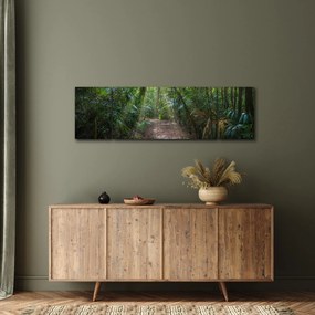 Obraz - Promienie słońca w dżungli (170x50 cm)
