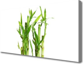 Zdjęcie na płótnie Bambus w Kwiatowym Towarzystwie