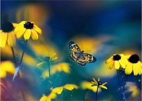 Obraz na szkle - Żółty motyl z kwiatami (70x50 cm)