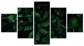 Obraz - Paprocie tropikalne (125x70 cm)