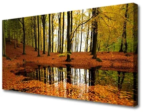 Obraz na Płótnie Las Natura Drzewa