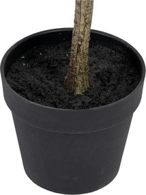 Sztuczny eukaliptus (wysokość 180 cm) Eucalyptus – Ixia