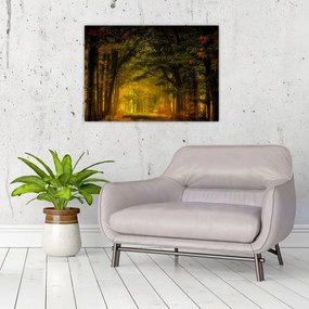 Obraz lasu (70x50 cm)