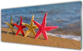 Szkło Dekoracyjne do Kuchni Skarby Morza: Rozgwiazda