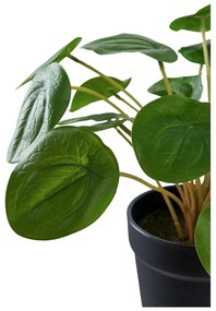 Sztuczna roślina (wysokość 28 cm) Pelia – House Nordic