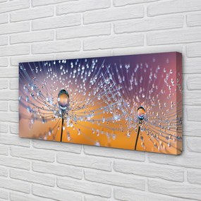 Obraz na płótnie Rosa na Parasolkach Dmuchawca