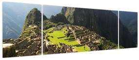 Obraz - Lamy na Machu Picchu (170x50 cm)