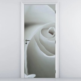 Fototapeta na drzwi - Biała róża (95x205cm)
