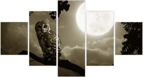 Obraz - Nocna sowa, złoty (125x70 cm)