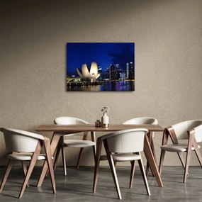 Obraz Singapuru nocą (70x50 cm)