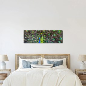 Obraz - Paw (z zegarem) (90x30 cm)