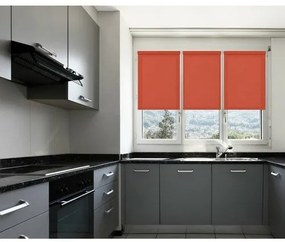 Roleta MINI Rainbow Line czerwony 73 x 150 cm, 73 x 150 cm