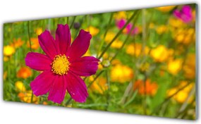 Panel Szklany Subtelny Pąk Kwiatowy