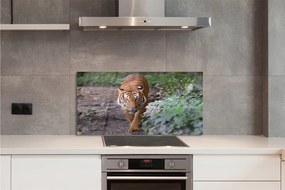 Szkło Ozdobne do Kuchni Tygrys w Cieniu Drzew