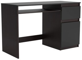 Biurko komputerowe młodzieżowe szkolne 120 cm REMI1 Wenge/Czarny