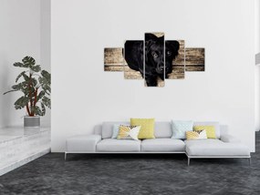 Obraz czarnego szczeniaka (125x70 cm)