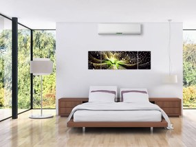 Obraz - Szczegół kwiatu (170x50 cm)