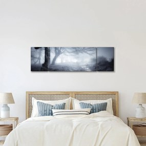 Obraz- Droga we mgle (170x50 cm)