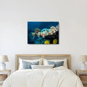Obraz - W oceanie (70x50 cm)