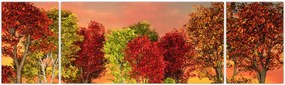Obraz - Kolorowe drzewa (170x50 cm)