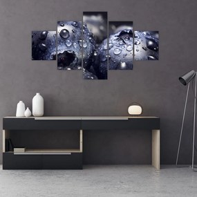 Obraz owoców z kroplami wody (125x70 cm)