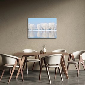 Obraz zimowego krajobrazu (70x50 cm)