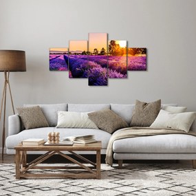 Obraz lawendowego pola (125x70 cm)