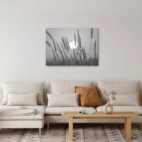 Obraz - Łąka o zachodzie słońca (70x50 cm)