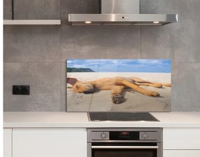 Szklany Panel Leżący pies plaża
