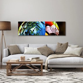 Obraz - Papuga (170x50 cm)