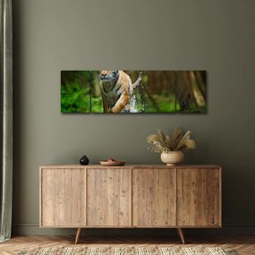 Obraz biegnącego tygrysa (170x50 cm)