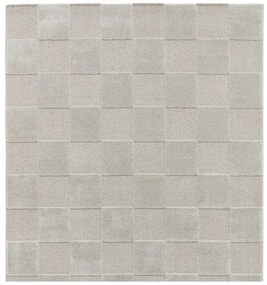 Jasnoszary dywan 200x290 cm Elio Silver – Think Rugs
