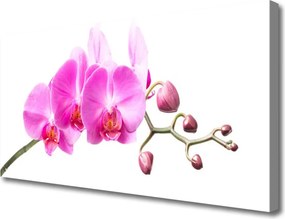 Obraz canvas Harmonijny Bukiet Ścienny