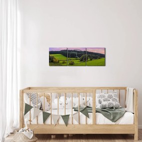 Obraz łąki (z zegarem) (90x30 cm)