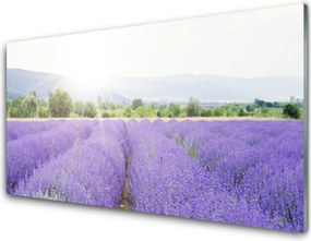 Panel Szklany Zapach Lawendowej Polany