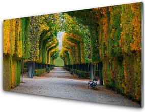 Szkło do Kuchni na Ścianę Jesienny Ogród W Parku