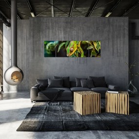 Obraz kameleona (170x50 cm)