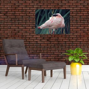 Obraz na szkle - Flaming (70x50 cm)
