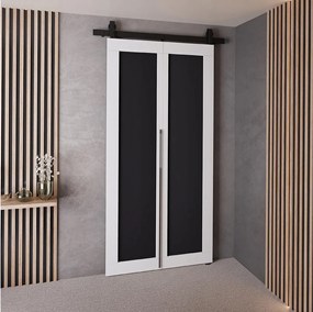 Drzwi Przesuwne QUDIO M1 Biały + Czarny 80