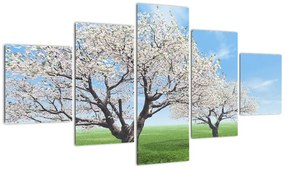 Obraz drzew (125x70 cm)