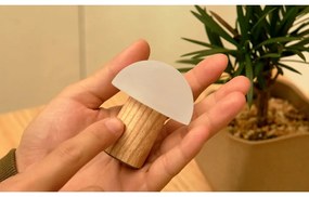 Lampa stołowa LED ze ściemniaczem z litego drewna jesionowego (wysokość 7 cm) Alice – Gingko