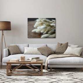 Obraz - Zajęczy ogonek (70x50 cm)