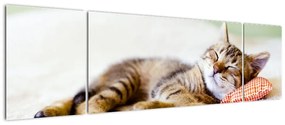 Obraz - Śpiący kotek (170x50 cm)