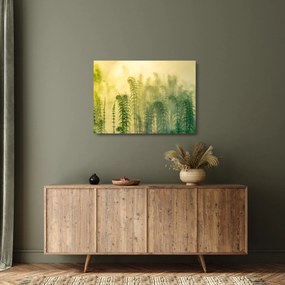 Obraz na szkle - Szczegół wiosennej mglistej przyrody (70x50 cm)