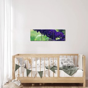 Obraz niebieskiego kwiatu (z zegarem) (90x30 cm)