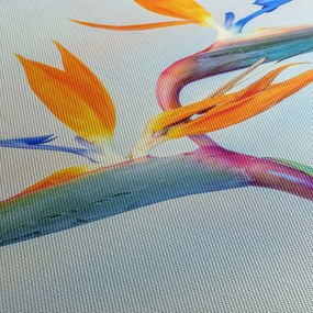 Obraz kwiatu Strelicji (170x50 cm)