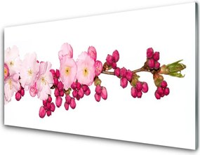 Szkło do Kuchni na Ścianę Kwitnąca Gałązka Wiśni