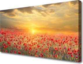 Obraz canvas Maki w Południowym Słońcu