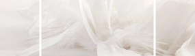 Obraz - Pióro (170x50 cm)
